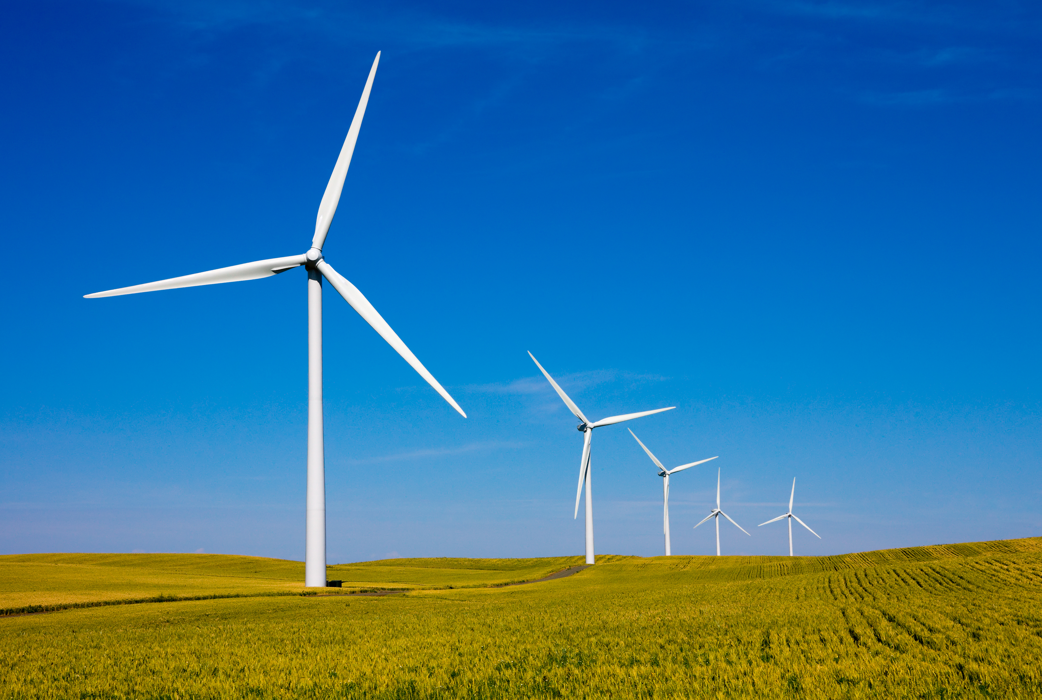 Munich Re will Renewables aufstocken