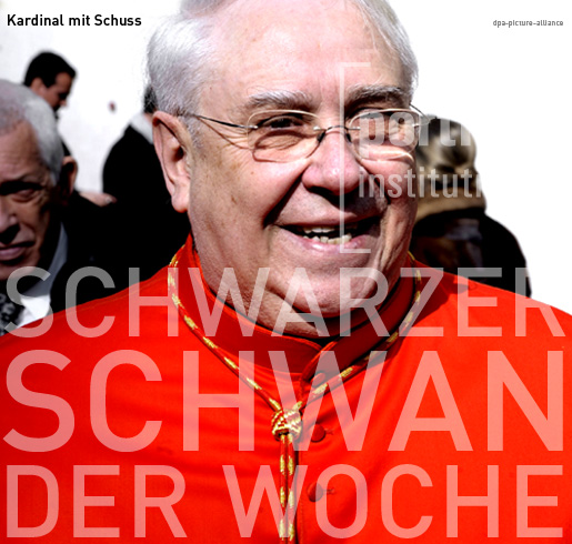 Kardinal mit Schuss