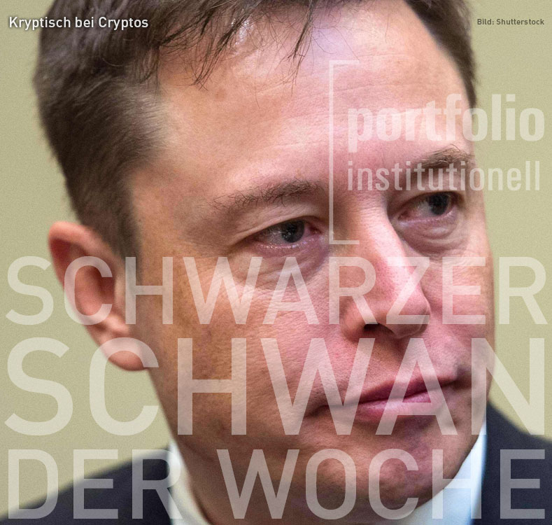 Elon Musk, Schwarzer Schwan der Woche, portfolio institutionell