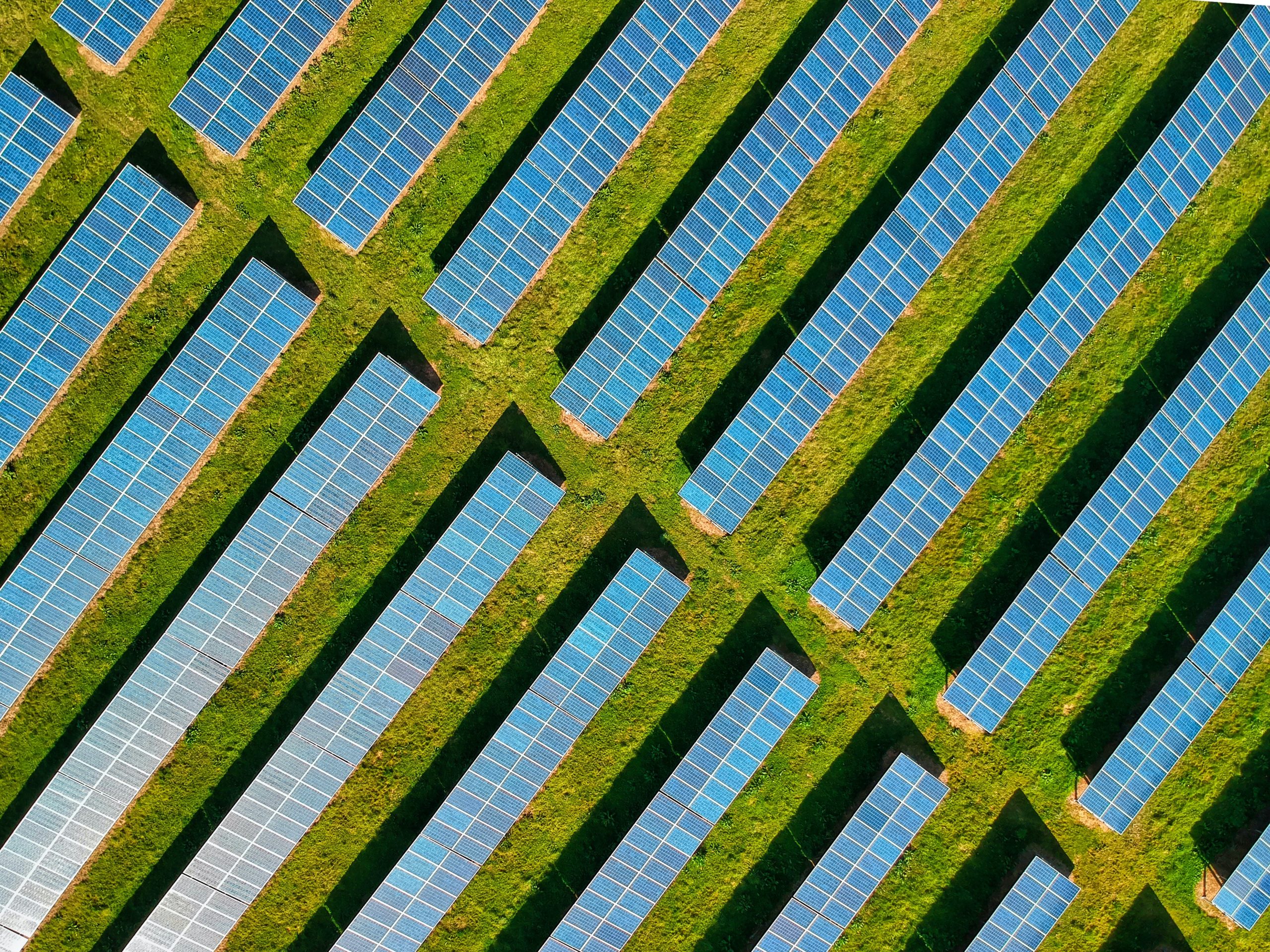 Solarkollektoren auf einem Feld