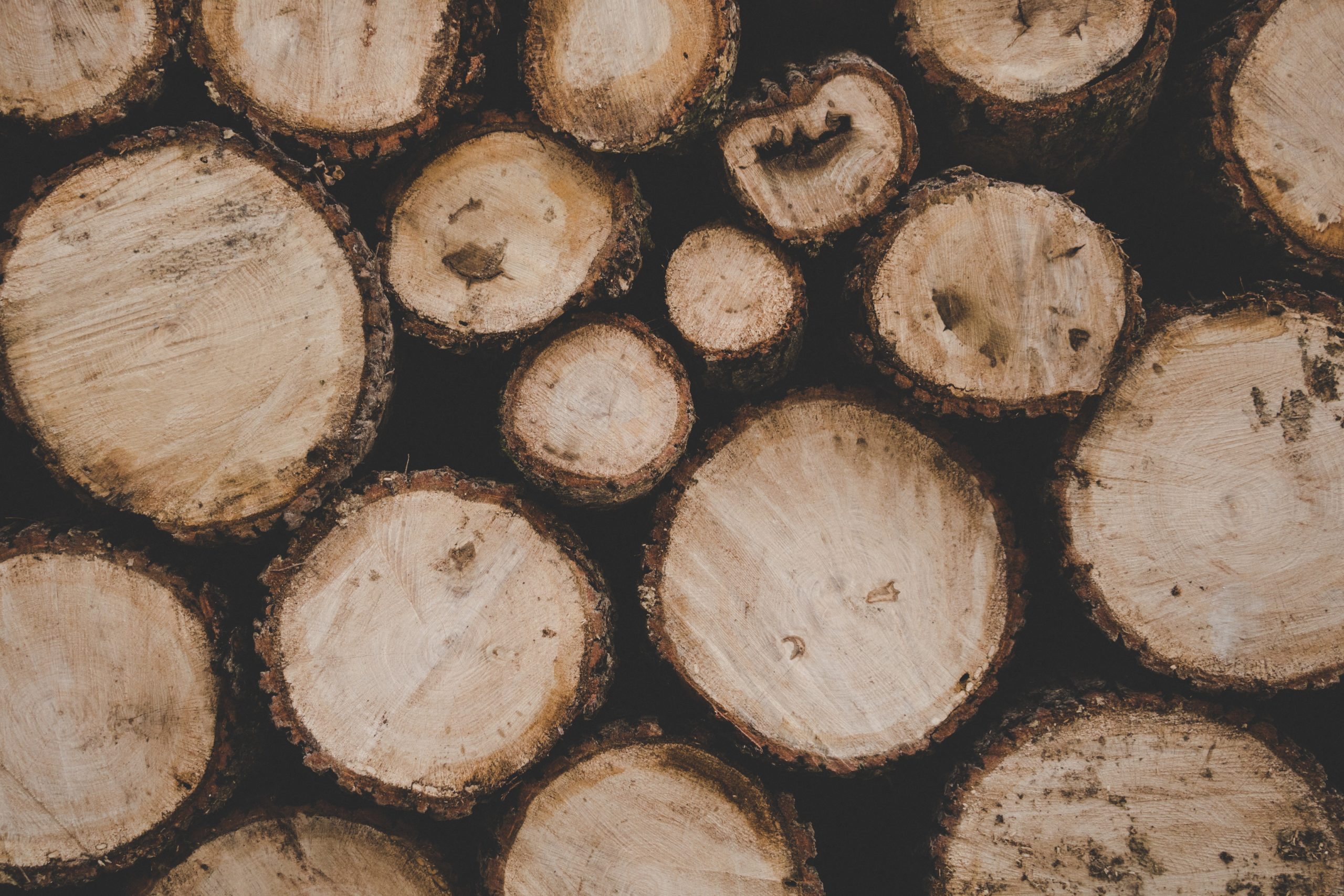 Die Nachfrage nach Holz als Baustoff ist gestiegen, nicht zuletzt auch wegen der Energiewende. Das dürfte die Preise für Rundholz dauerhaft unterstützen, erwarten Experten.