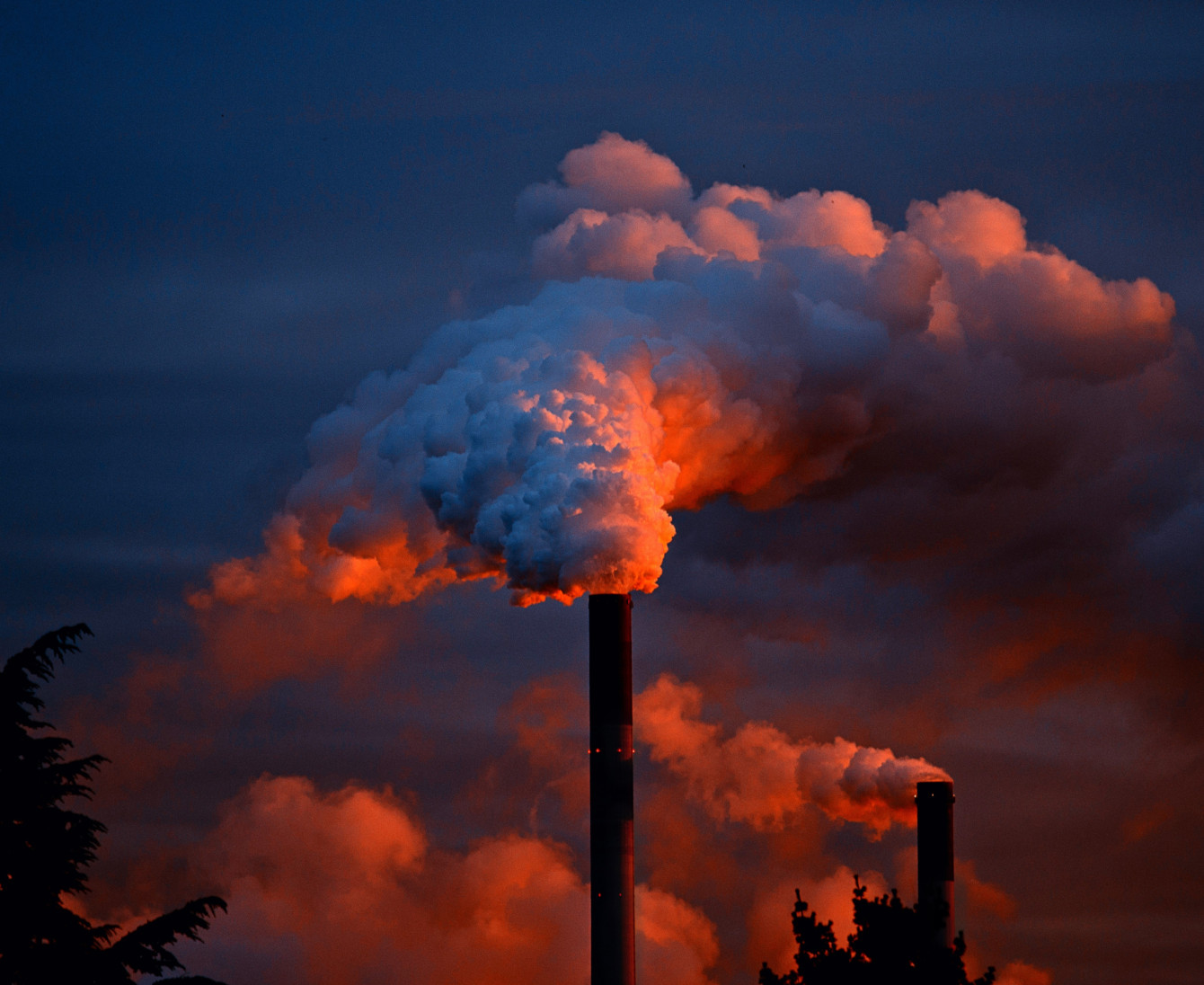 Dekarbonisierung per Zertifikat: Abkürzung oder Sackgasse
