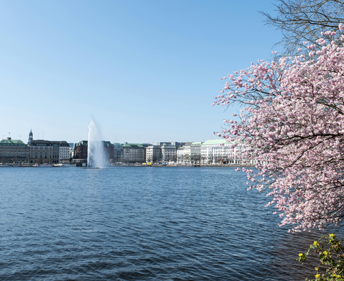Hamburg ist die deutsche Stiftungshochburg