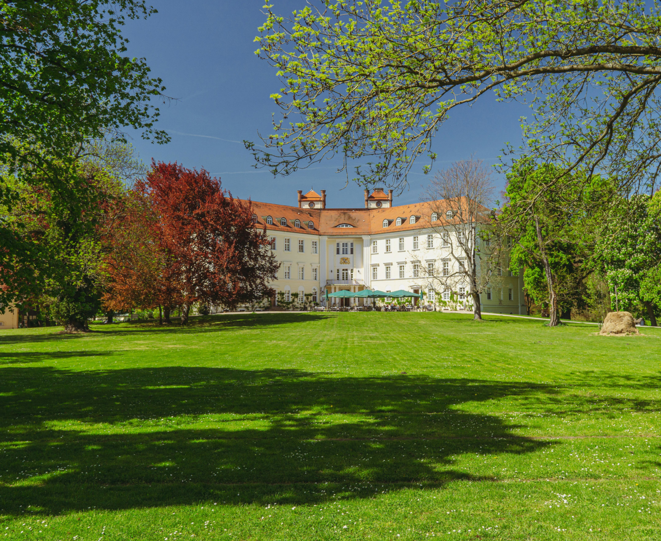 Insti goes Wealth – wir gehen mit
